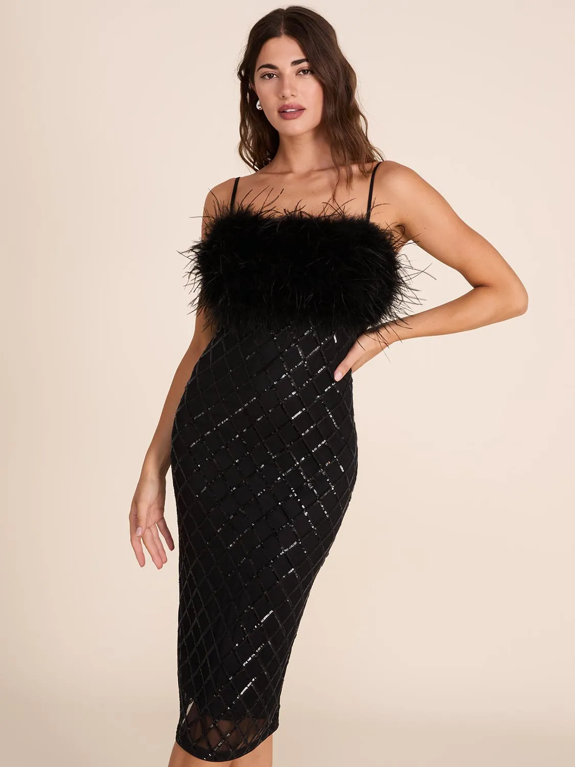 Midi Sequin & Feather Dress